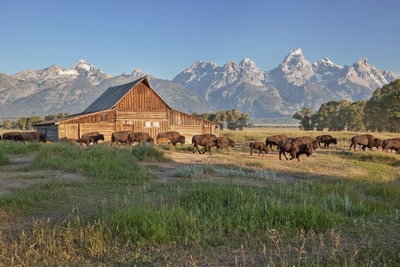 Grand Teton National Park, Wyoming