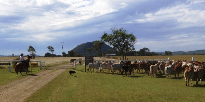 Henderson Park Farm, gate