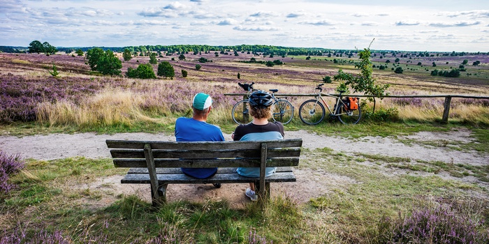 Luneburger Heide i Nordtyskland