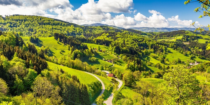 Smukke Schwarzwald i Sydtyskland