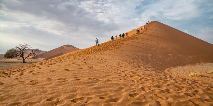 Vandring i sandklitterne i Sossusvlei i Namib-Naukluft National Park, Namibia