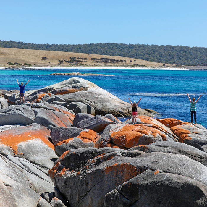 Bugten Bay of Fires på Tasmaniens østkyst