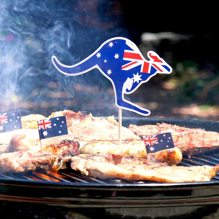 Kangaroo steak