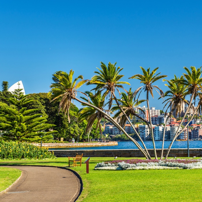 Den botaniske have i Sydney