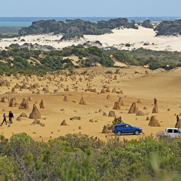 Nambung National Park i Western Australia - Foto: P. Hauerbach/ FDM