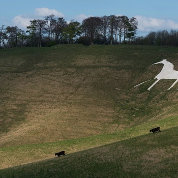 England, Wiltshire - den hvide kalkhest ved Cherhill