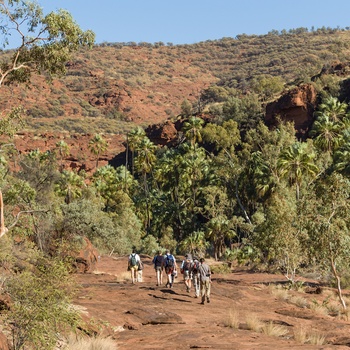 Finke Gorge National Park Palm Valley, Northern Terrirory