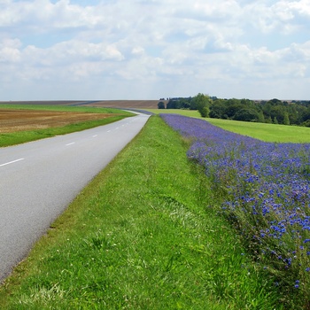 Frankrig, Pikarkiet - et vue langs den charmerende Chemin des dames