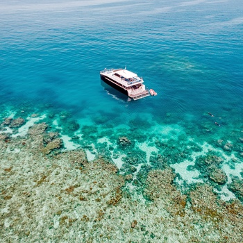 Great Barrier Reef i Queensland, Australien