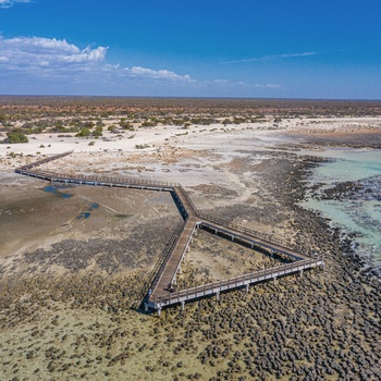 Hamelin Pool Marine Nature Reserve – Western Australia