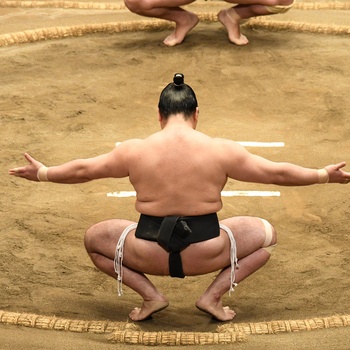 Sumobrydning i Japan