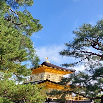 Kinkaku-ji - Den Gyldne Pavillon i Kyoto, Japan