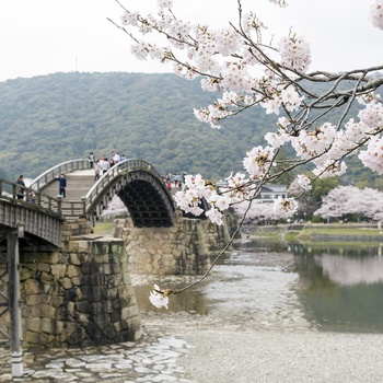 Kintaikyo-broen i Iwakuni - Japan