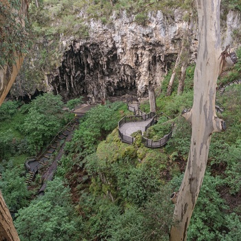 Sti og trapper ned til Lake Cave i Western Australia