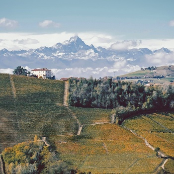 Landskab med vinmarker og snedækkede bjerge i baggrunden i Piemonte, Norditalien - Foto Lisa van Vliet Unsplash