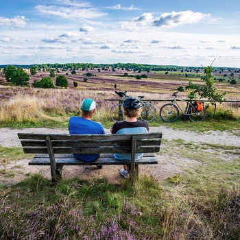 Luneburger Heide i Nordtyskland