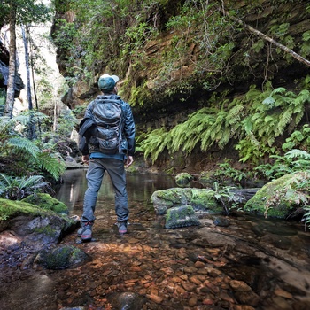 Vandreruten Scenic Walkway i Blue Mountains - New South Wales