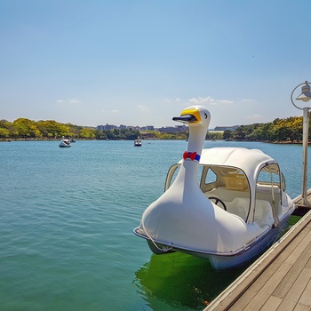 Vandcykel i søen midt i Ohori Park, Fukuoka i Japan