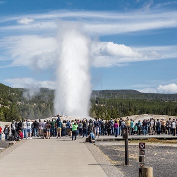 Old Faithful Geyser i Yellowstone National Park - USA