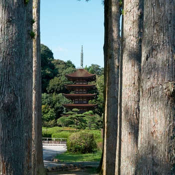 Rurikō-ji templet i Kozan Park, Yamaguchi i Japan