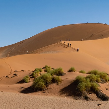 Sand dunes Sossusvlei i Namibia