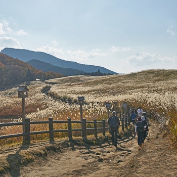 Soni Highlands i Japan