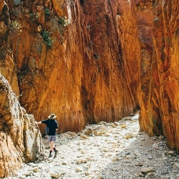 Turist i kløften Standley Chasm - Northern Territory