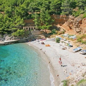 Strand på øen og nationalparken Mljet i Kroatien