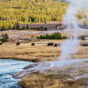 The Upper Geyser Basin i Yellowstone National Park - USA