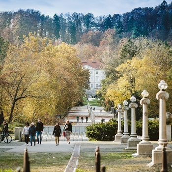 Den brede Jakopic-promenade i Tivoli Park, Ljubljana i Slovenien