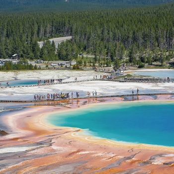 Yellowstone Nationalpark - USA