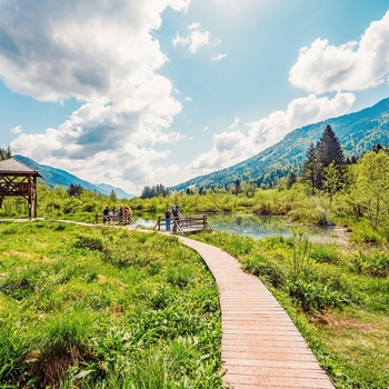 Trægangbro til udsigtstårnet ved søen i Zelenci Naturreservat i Slovenien