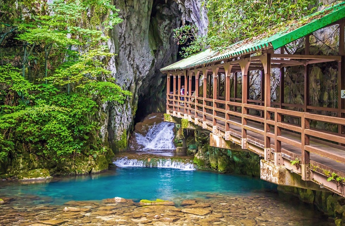 Indgangen til grotten Akiyoshido Cave - det sydlige Japan