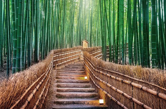 Bambuslunden Arashiyama Bamboo Grovei i Kyoto, Japan