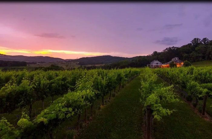 Arcady Vineyard Bed and Breakfast, Vineyard