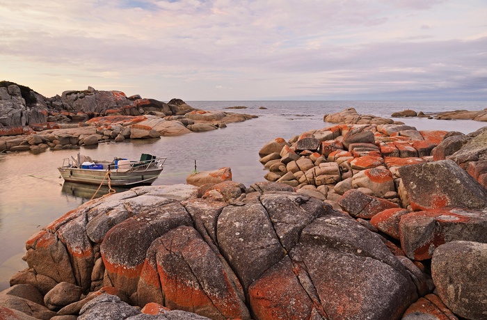 Bay of Fires på Tasmaniens østkyst