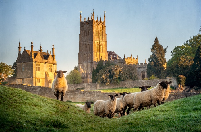 England, Gloucestershire, Cotswolds, Chipping Campden - det gamle West Banqueting House og Saint James' Church med en flok får i forgrunden