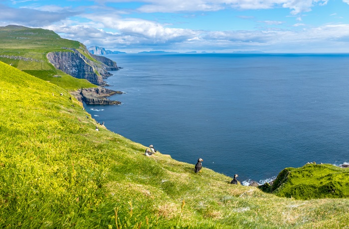Eventyr fra syd til nord Færøerne | travel