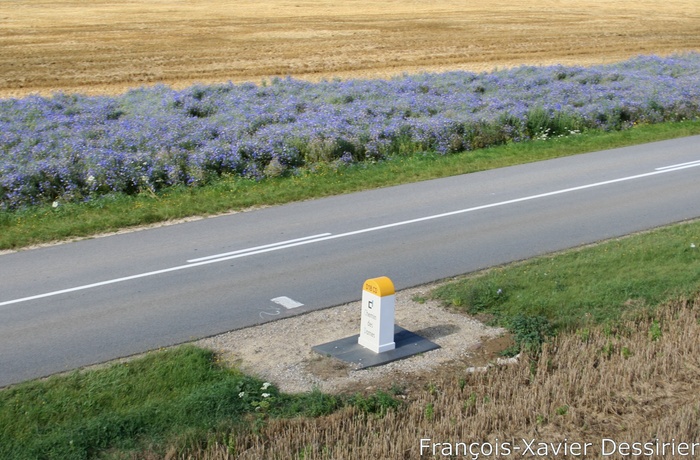 Frankrig - Chemin des Dames ©FX.Dessirier