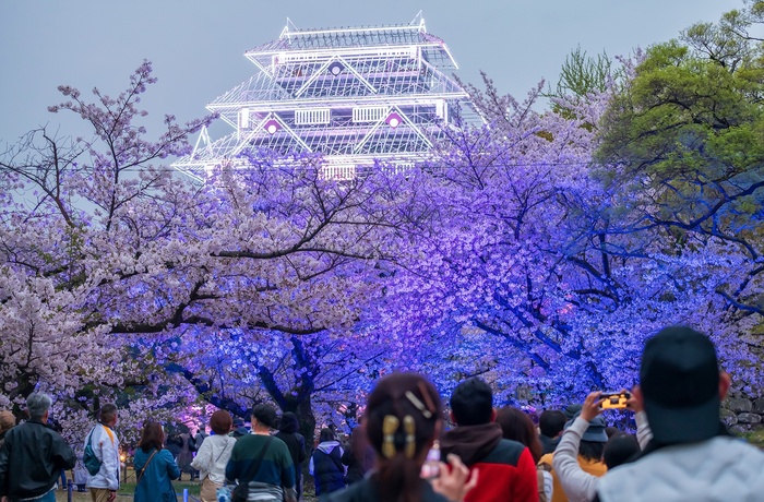 Fukuoka slotsruin i Maizuru Park, Fukuoka i Japan