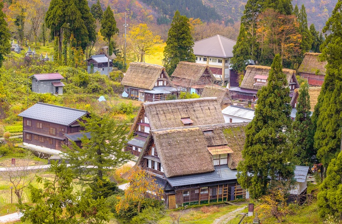 Klassiske bondehuse i landsbyen Gokayama - Japan