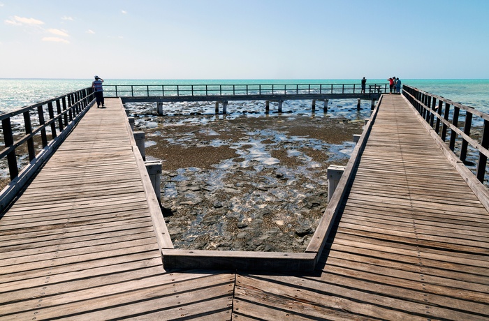 Gangbroen ved Hamelin Pool Marine Nature Reserve – Western Australia 2.jpg