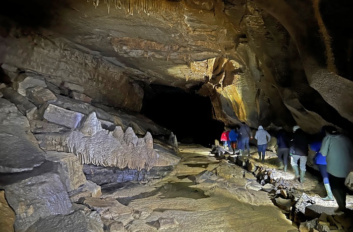 Križna Jama-grotten i Slovenien