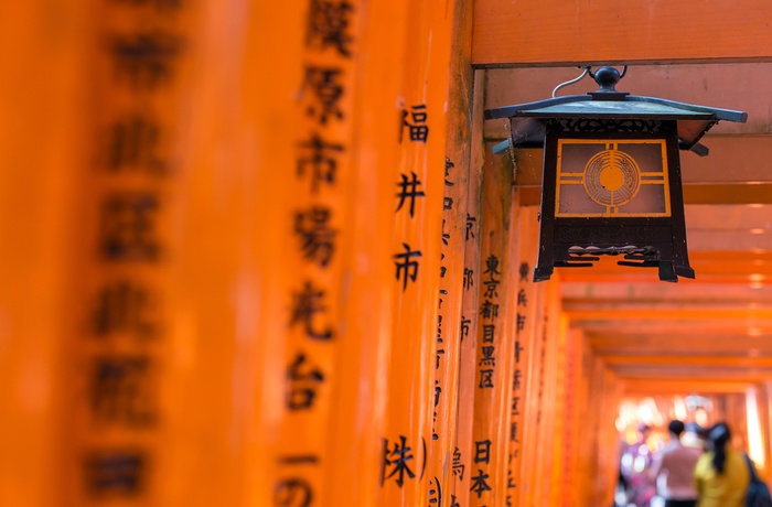 Torri portene i Fushimi Inari-helligdommen, Kyoto i Japan 