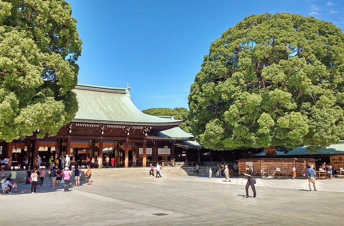 Lokale og turister ved helligdommen Meiji Shrine i Tokyo