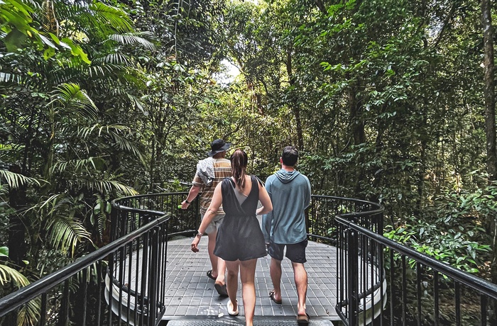 På vej gennem regnskoven ved Mossman Gorge i Daintree National Park, Queensland