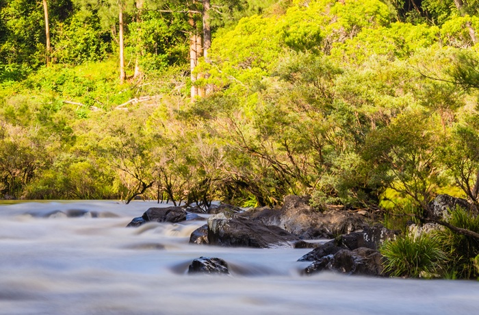 Nymboida River i New South Wales - Australien