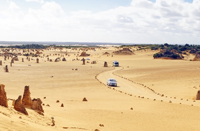 Vej gennem The Pinnacles i Nambung National Park - Western Australia