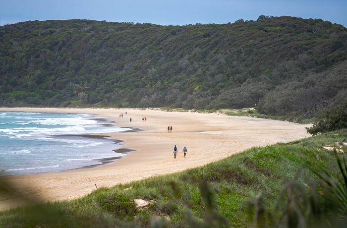 Folk der slentrer på strand i Noosa National Park, Queensland