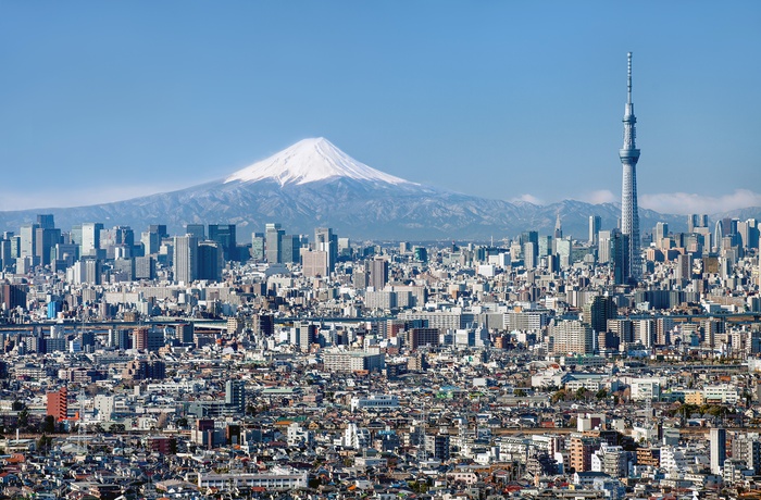 Tokyo Skytree og Mt. Fuji i baggrunden - Japan